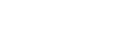 NewtonSoftware_Logo (2)